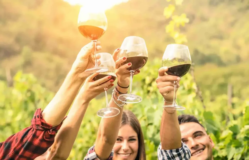 Group of friends raising wine glasses in a cheers at an outdoor wine tasting adventure with golden sunset light and vineyard in background