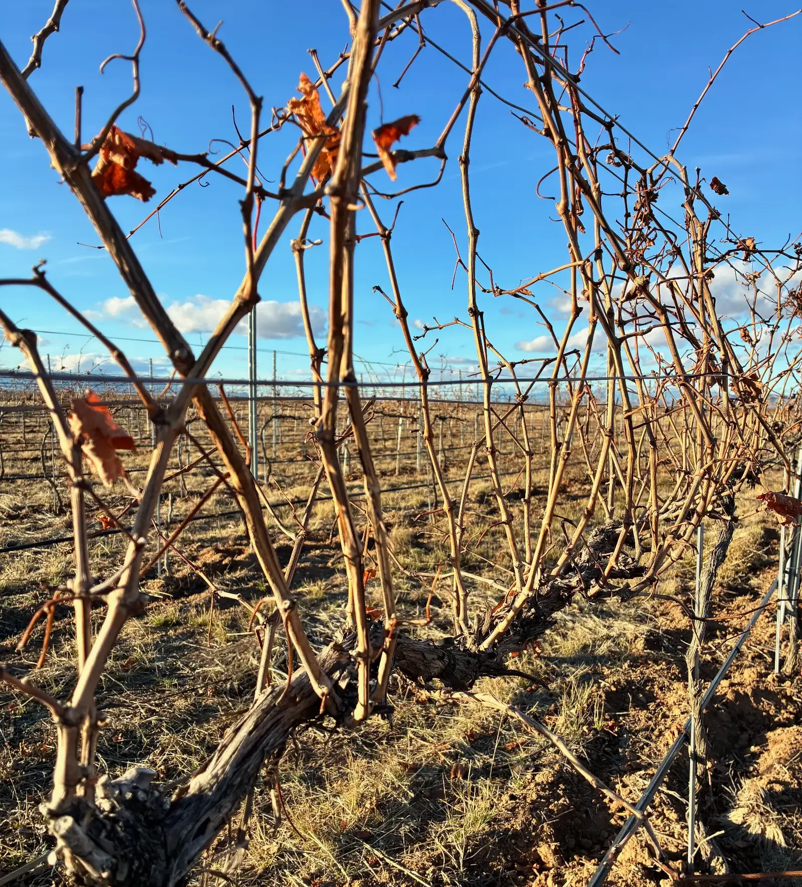 Preparing for Our Next Great Flight